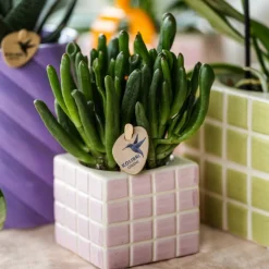 LA GREEN TOUCH - Pot décoratif mosa rose