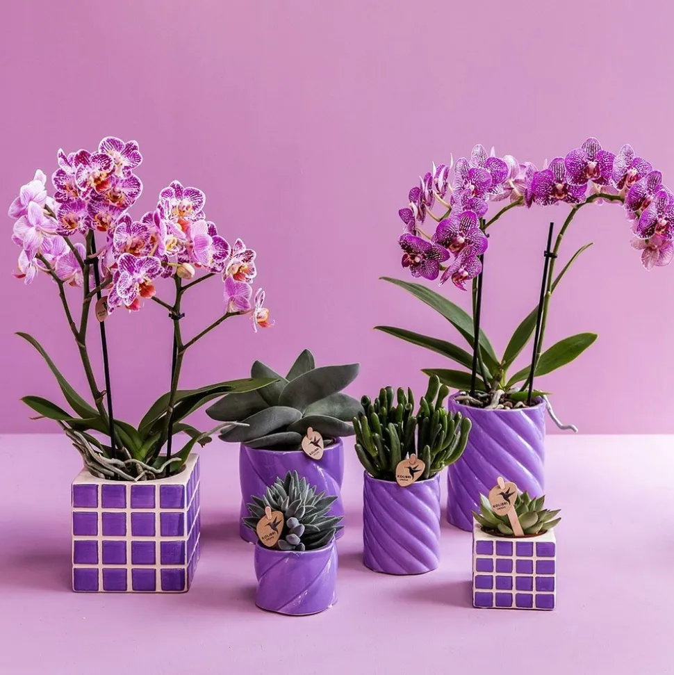 LA GREEN TOUCH - Pot décoratif mosa lilac