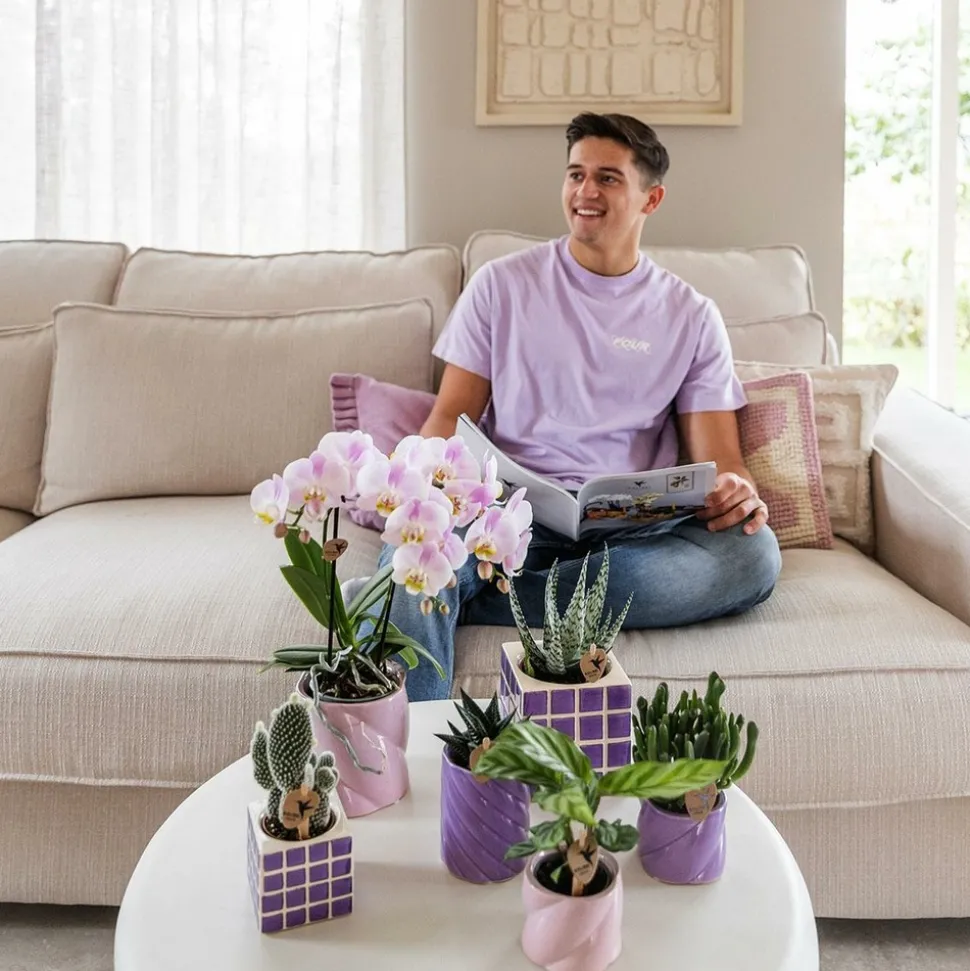 LA GREEN TOUCH - Pot décoratif mosa lilac