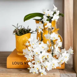 LA GREEN TOUCH - Pot décoratif fish en céramique orange