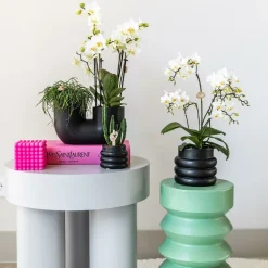 LA GREEN TOUCH - Pot décoratif bubble noir