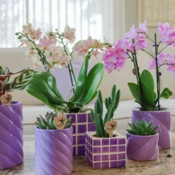 LA GREEN TOUCH - Pot décoratif mosa - lilac