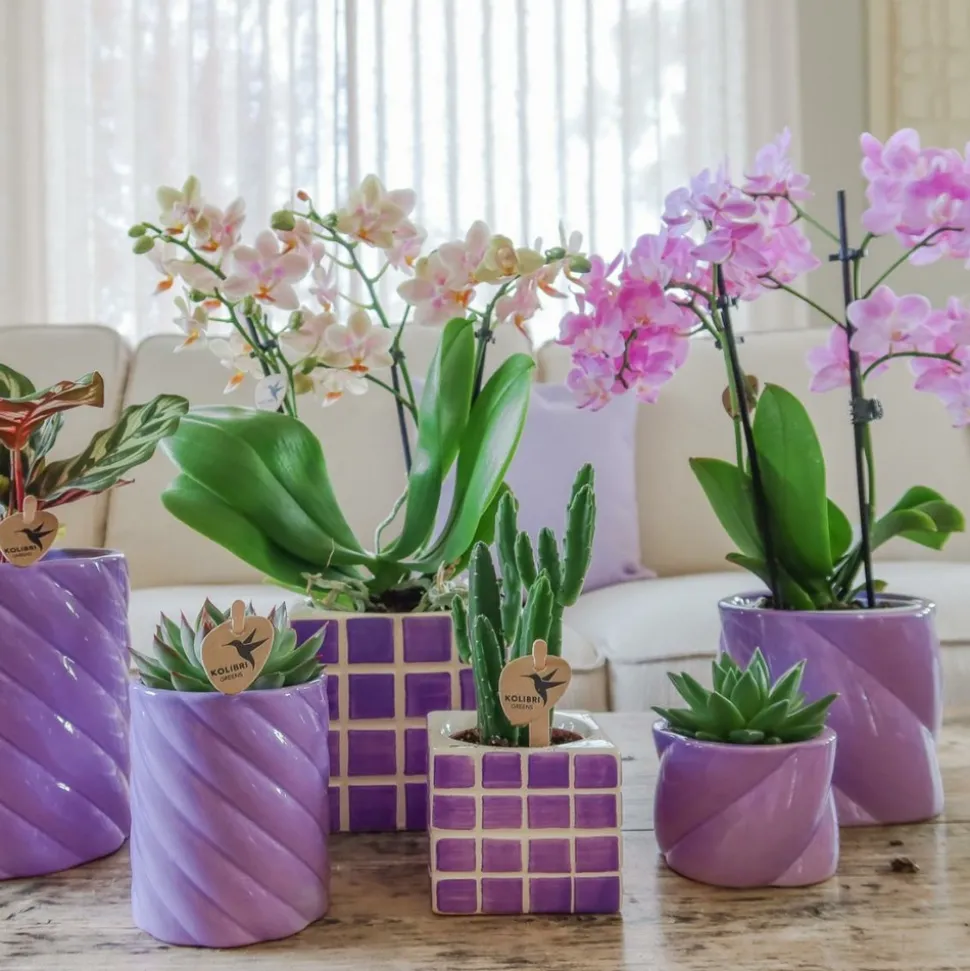 LA GREEN TOUCH - Pot décoratif mosa - lilac