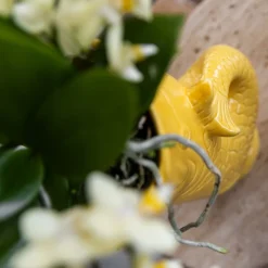 LA GREEN TOUCH - Pot décoratif fish jaune - petit modèle