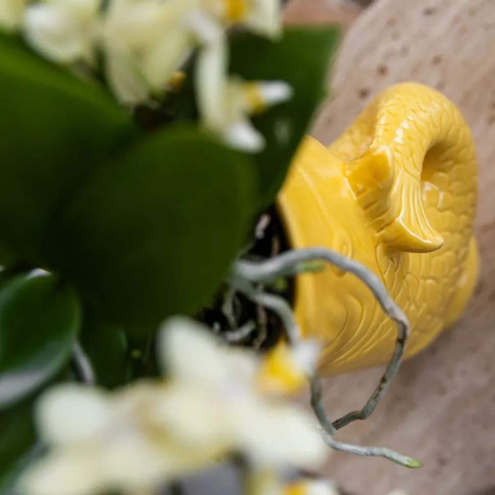 LA GREEN TOUCH - Pot décoratif fish jaune - petit modèle