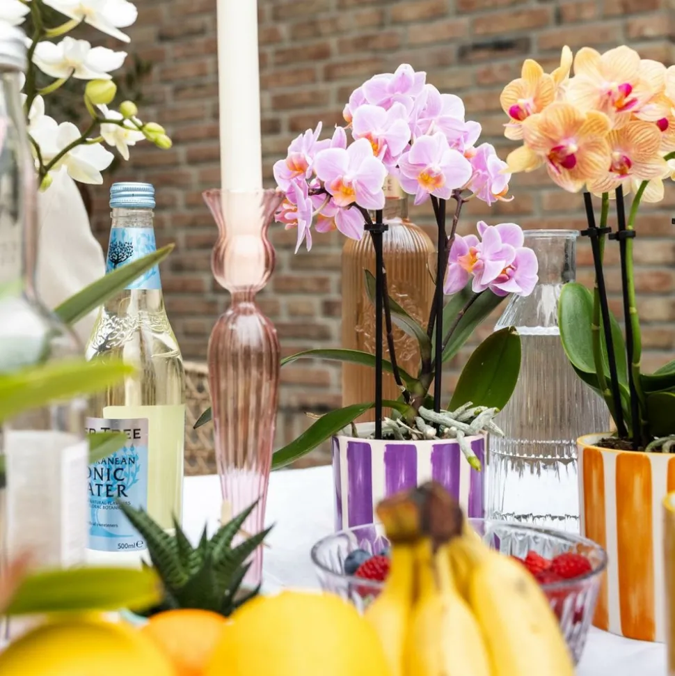 LA GREEN TOUCH - Pot décoratif painted stripe - lilas