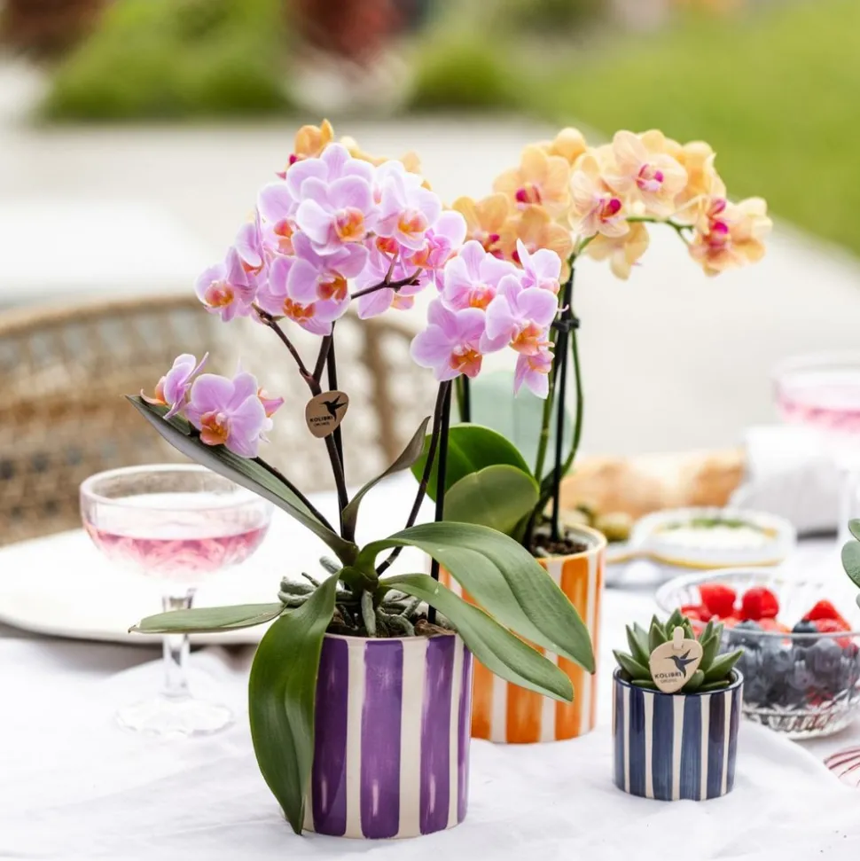 LA GREEN TOUCH - Pot décoratif painted stripe - lilas