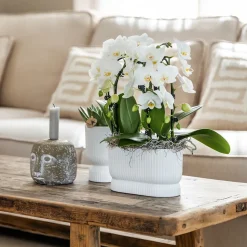 LA GREEN TOUCH - Pot décoratif diabolo blanc