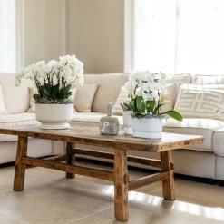 LA GREEN TOUCH - Pot décoratif diabolo blanc