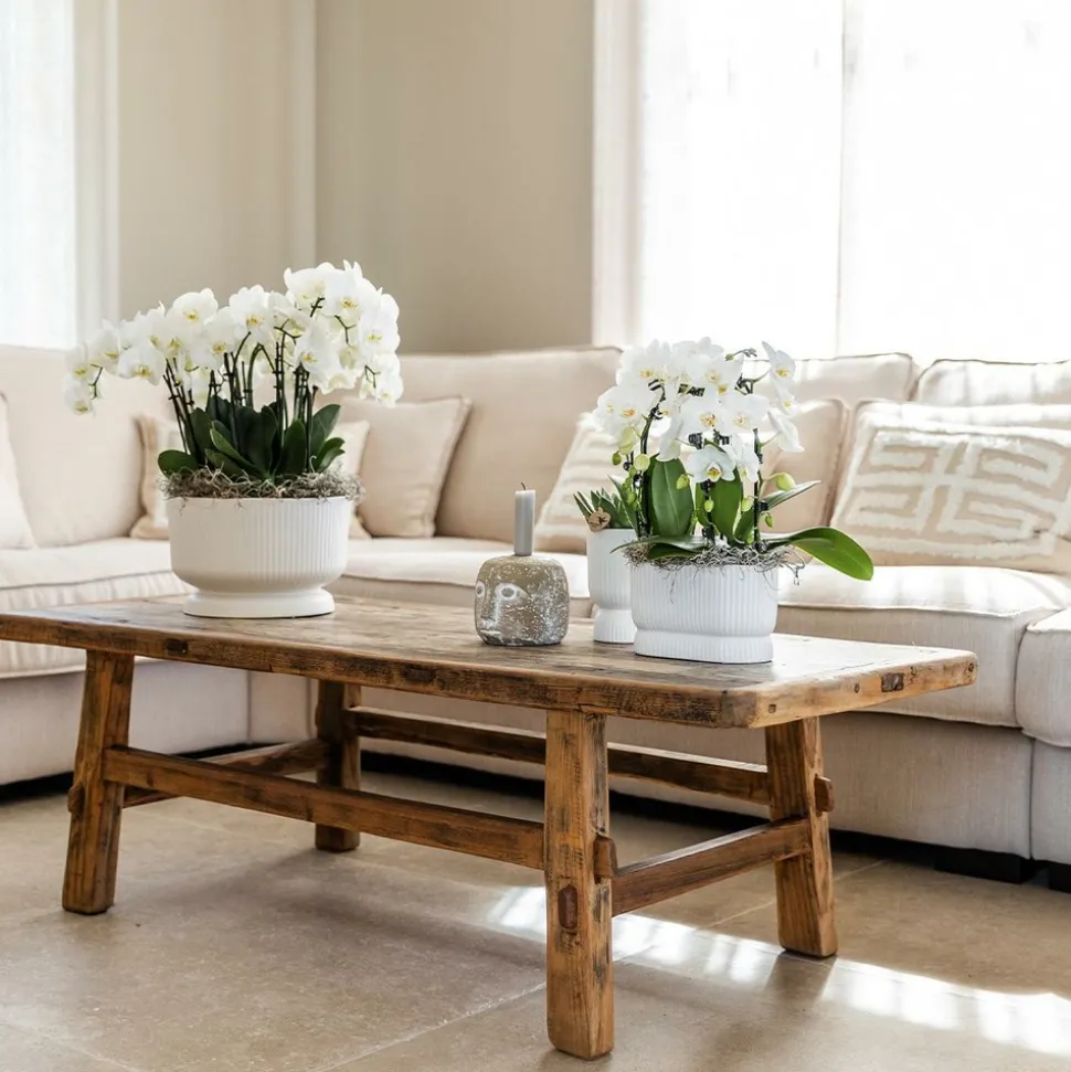 LA GREEN TOUCH - Pot décoratif diabolo blanc