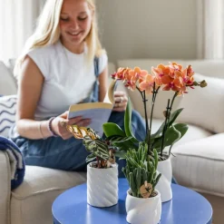 LA GREEN TOUCH - Pot décoratif candy - blanc - haut