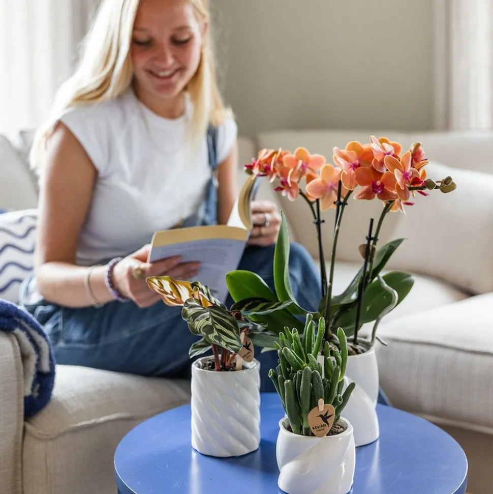 LA GREEN TOUCH - Pot décoratif candy - blanc - haut