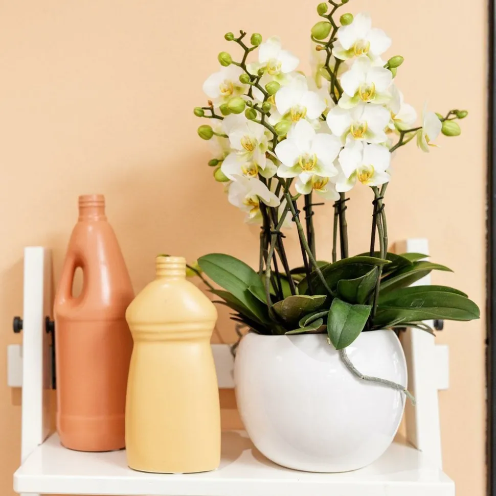 LA GREEN TOUCH - Pot décoratif en céramique blanche