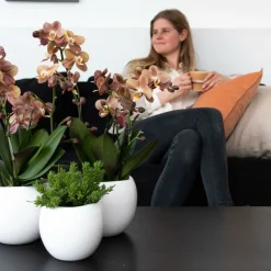 LA GREEN TOUCH - Pot décoratif en céramique blanche