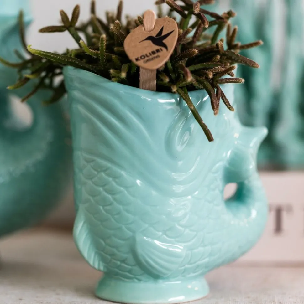 LA GREEN TOUCH - Pot décoratif fish turquoise