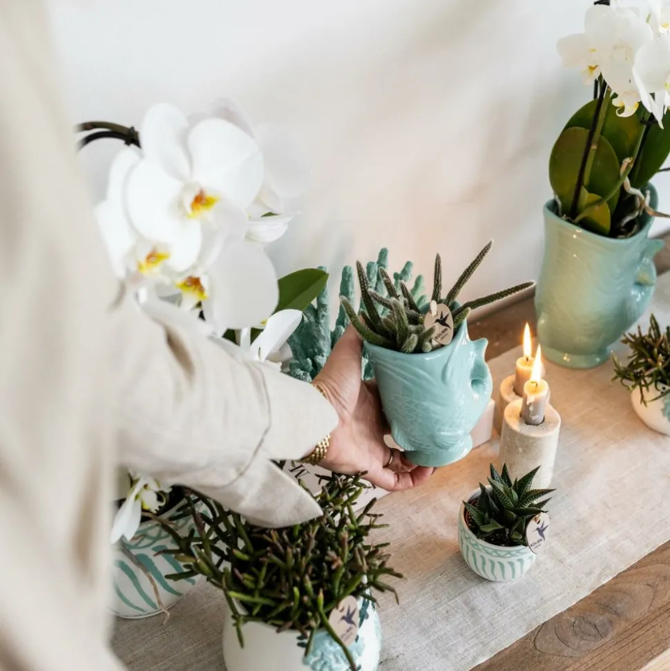 LA GREEN TOUCH - Pot décoratif fish turquoise