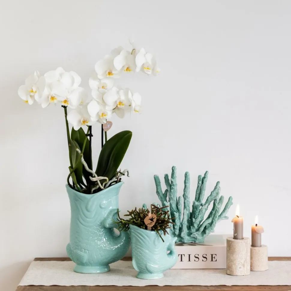 LA GREEN TOUCH - Pot décoratif fish turquoise