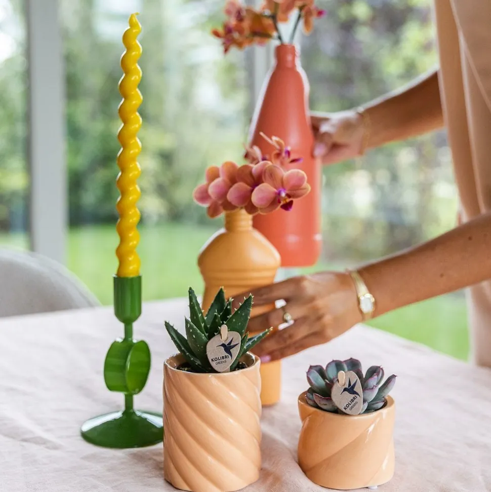 LA GREEN TOUCH - Pot décoratif peach candy