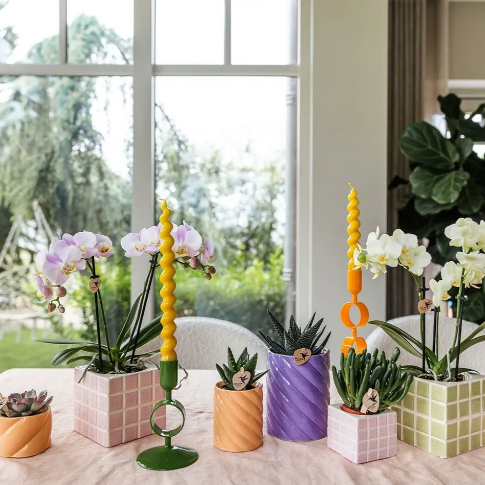 LA GREEN TOUCH - Pot décoratif peach candy