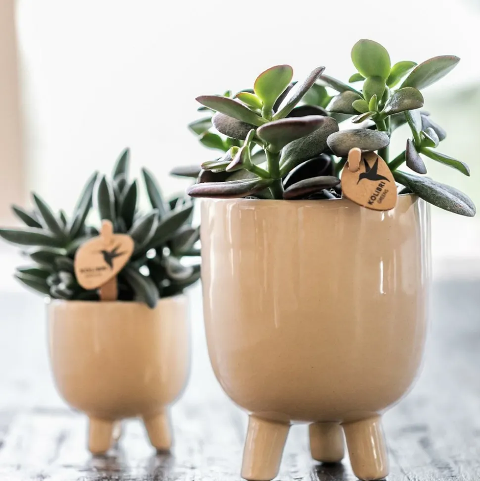 LA GREEN TOUCH - Pot décoratif gummy travertine