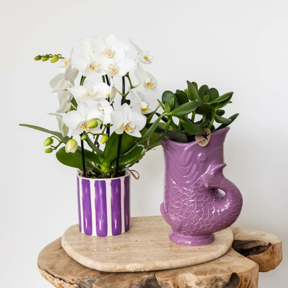 LA GREEN TOUCH - Pot décoratif fish - lilas