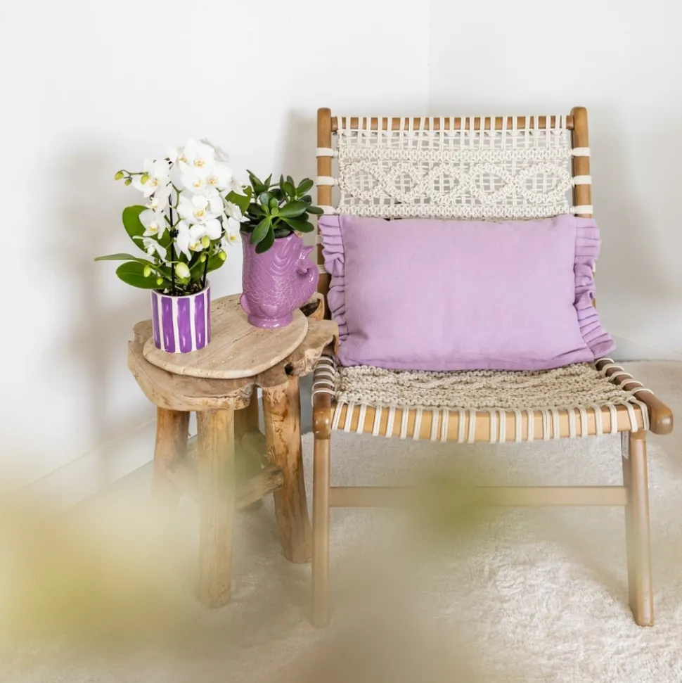 LA GREEN TOUCH - Pot décoratif fish - lilas