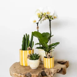 LA GREEN TOUCH - Pot décoratif rayé peint - jaune