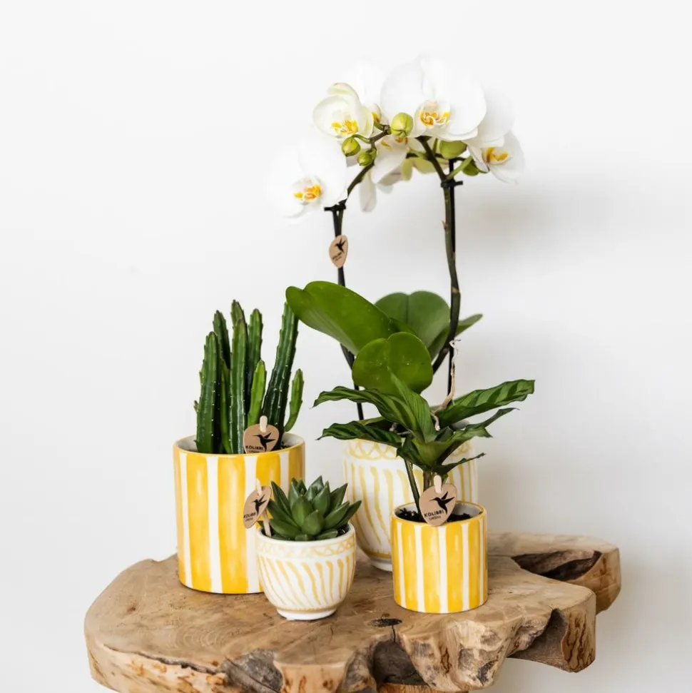 LA GREEN TOUCH - Pot décoratif rayé peint - jaune