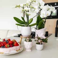 LA GREEN TOUCH - Pot décoratif granada rose