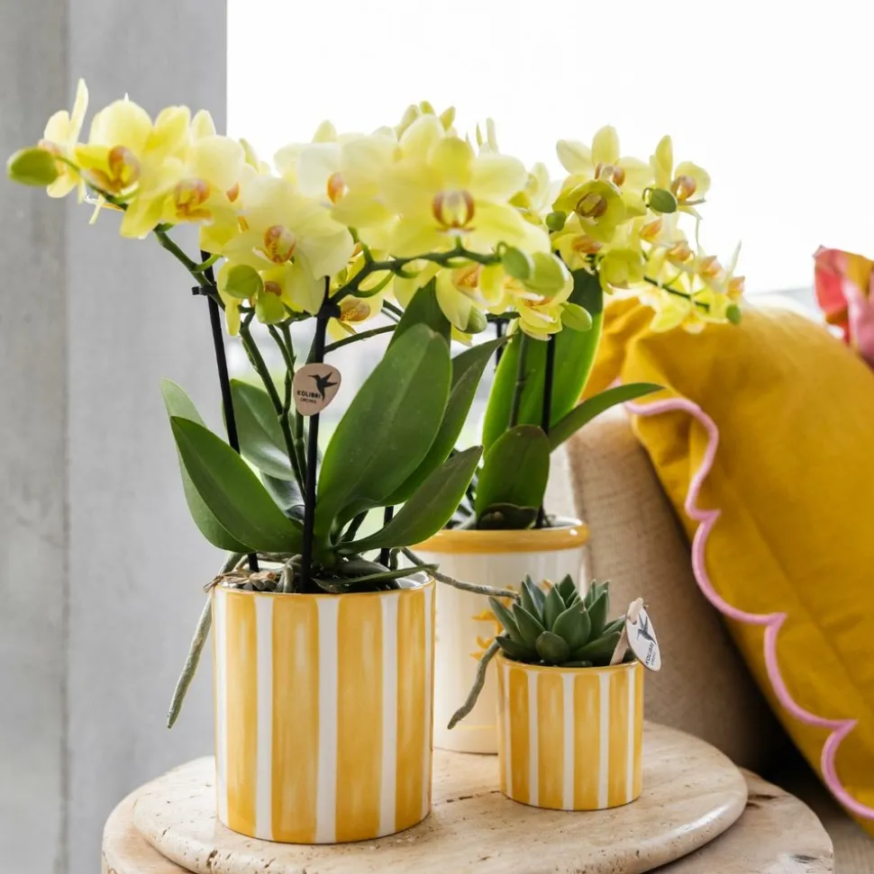 LA GREEN TOUCH - Pot décoratif à rayures peintes - jaune