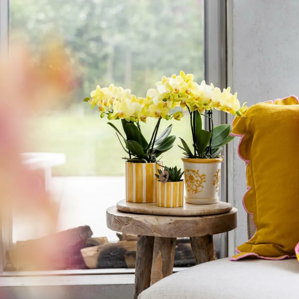 LA GREEN TOUCH - Pot décoratif à rayures peintes - jaune