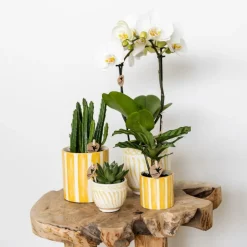 LA GREEN TOUCH - Pot décoratif à rayures peintes - jaune
