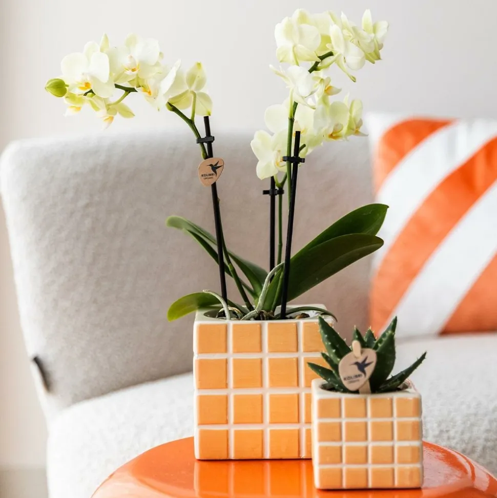 LA GREEN TOUCH - Pot décoratif mosa orange