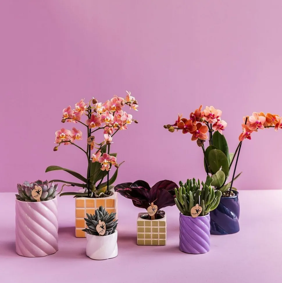 LA GREEN TOUCH - Pot décoratif mosa orange