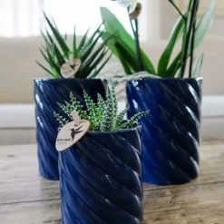 LA GREEN TOUCH - Pot décoratif candy - bleu vif