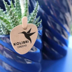 LA GREEN TOUCH - Pot décoratif candy - bleu vif