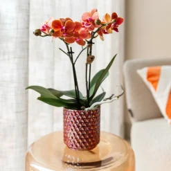 LA GREEN TOUCH - Pot diamond pearl rouge