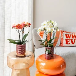 LA GREEN TOUCH - Pot diamond pearl rouge