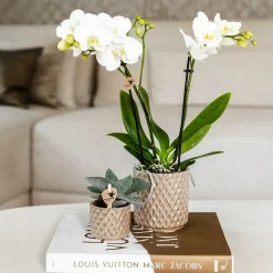 LA GREEN TOUCH - Pot diamond pearl - sable