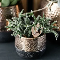 LA GREEN TOUCH - Pot elite en cuivre brillant - céramique luxueuse