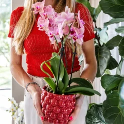 LA GREEN TOUCH - Pot en céramique rouge