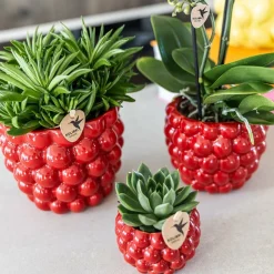 LA GREEN TOUCH - Pot en céramique rouge pour plantes d'intérieur