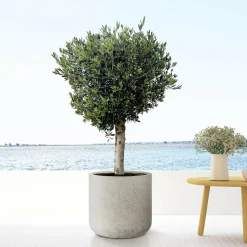 LA GREEN TOUCH - Pot jumbo charlie beige lavé 62 cm