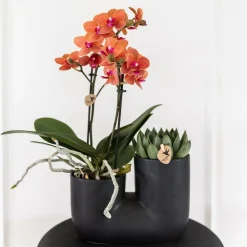 LA GREEN TOUCH - Pot tubulaire en céramique noir