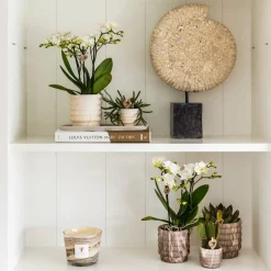 LA GREEN TOUCH - Sierpot en céramique marble light