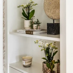 LA GREEN TOUCH - Sierpot en céramique marble light