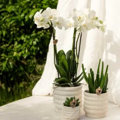 LA GREEN TOUCH - Sierpot marble light