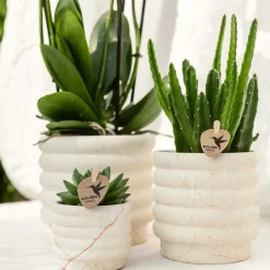 LA GREEN TOUCH - Sierpot marble light