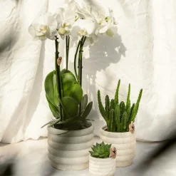 LA GREEN TOUCH - Sierpot marble light