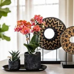 LA GREEN TOUCH - Sierpot moon noir - luxe industriel